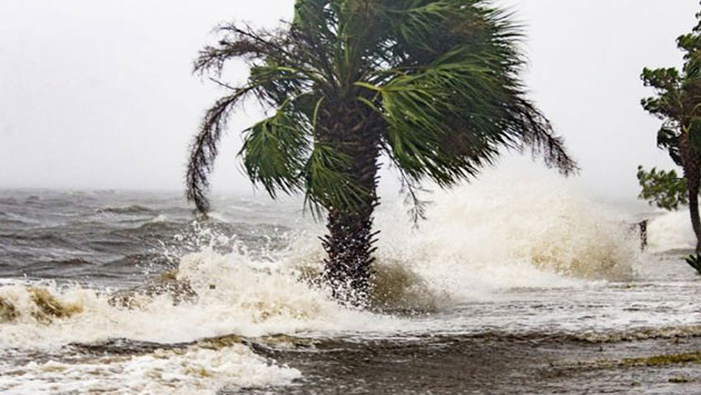 Florida declara estado de emergencia por tormenta tropical 'Elsa' – Periódico Zócalo | Noticias de Saltillo, Piedras Negras, Monclova, Acuña - Vimarsana News