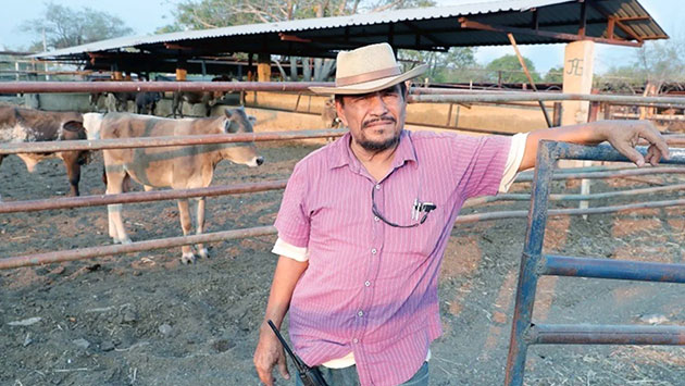 Desaparece fundador de autodefensas y su familia tras ser perseguidos por grupo armado en Michoacán – Periódico Zócalo | Noticias de Saltillo, Piedras Negras, Monclova, Acuña - Vimarsana News