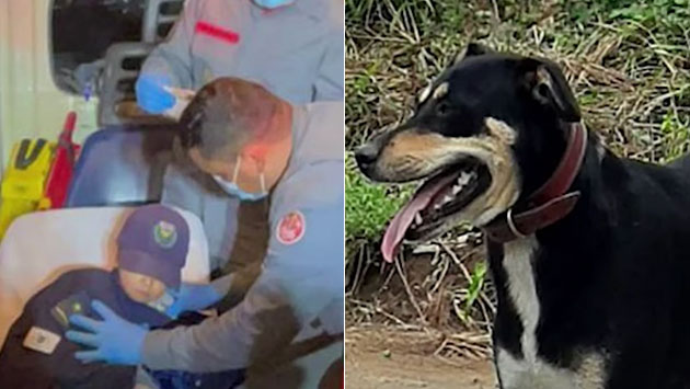 ¡Héroe! Encuentran a niño gracias a ladridos de su perrito – Periódico Zócalo | Noticias de Saltillo, Piedras Negras, Monclova, Acuña - Vimarsana News