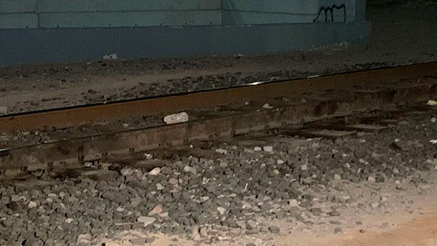 Mujer de la tercera edad muere arrollada por tren en Torreón; un perro ...