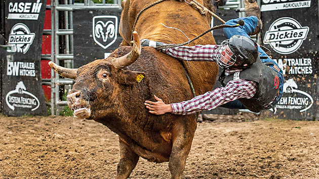 Uaaan Rodeo Invitan al rodeo como partes de los festejos de la UAAAN; será en ...
