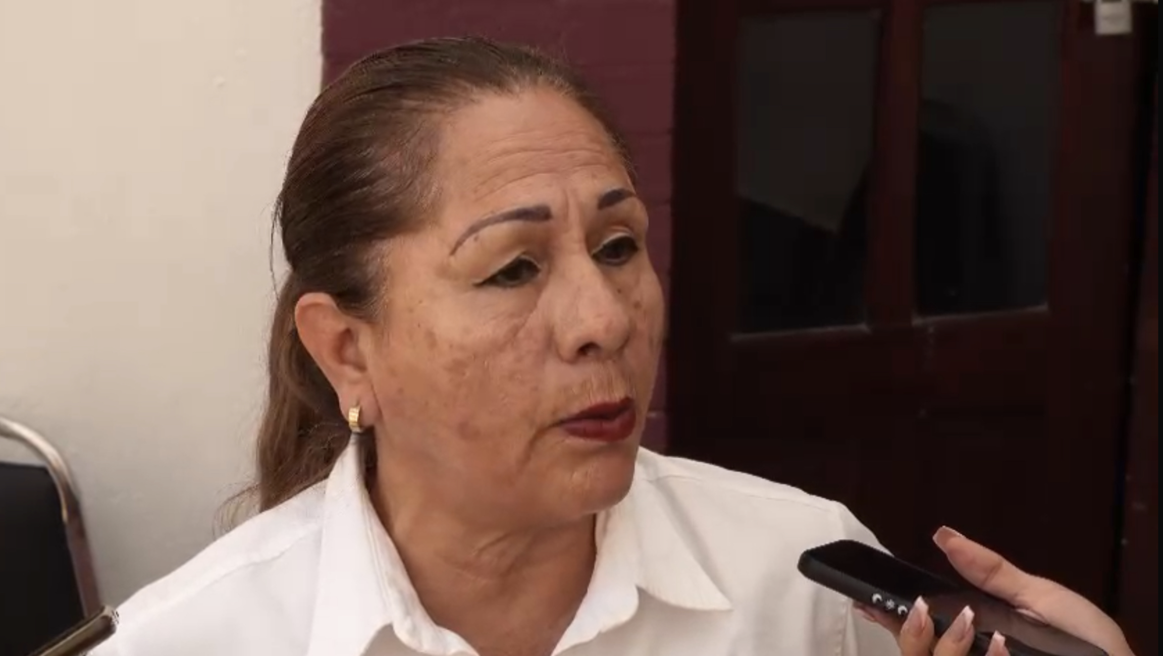Josefina Flores, secretaria de los organismos de la sociedad civil en la Región Sureste